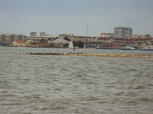 Foto de Around the Seixal Bay Foto de Around the Seixal Bay